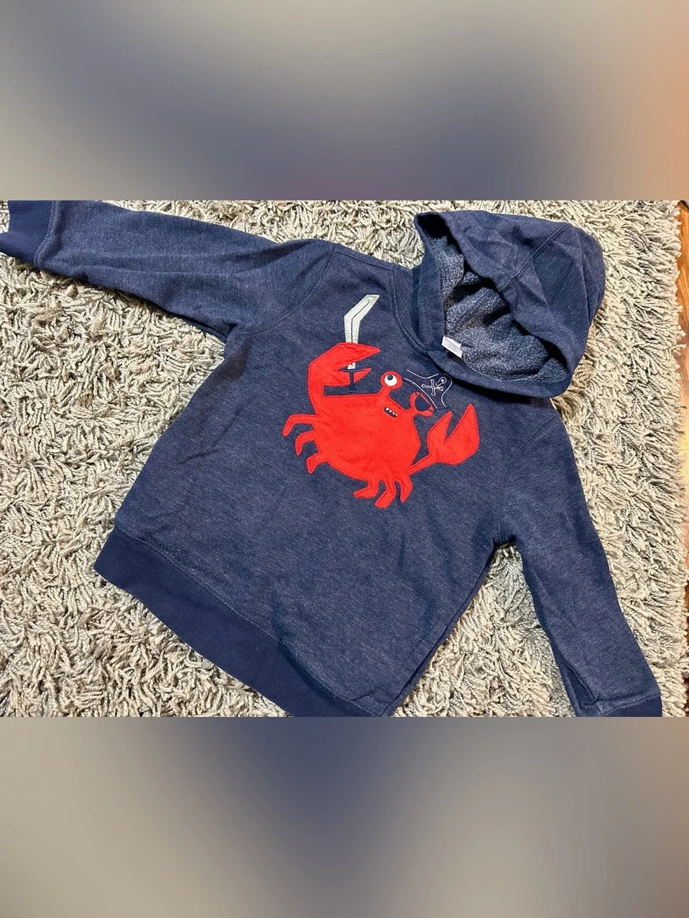 Gymboree Navy Hoodie with Bright Red Crab Graphic